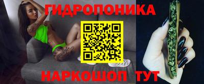 apvp Кандалакша